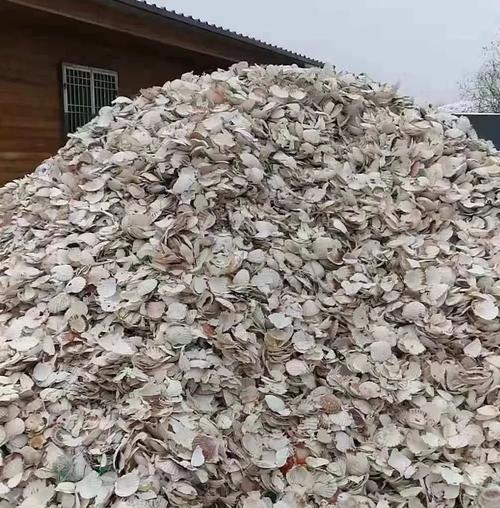 楼金贝 | 贝壳粉涂料的诞生需要多少道工序?